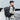 COLMAR: 17-inch Expandable Laptop Backpack for Travel & Everyday Use